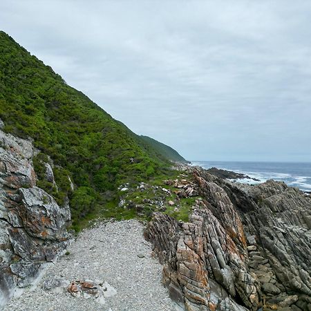 The Stargazing Cube - Misty Mountain Reserve Stormsrivier Exterior foto